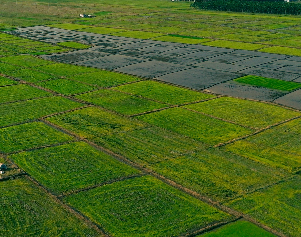 Agricultural Land